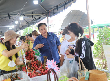 โครงการสนับสนุนการกระจายผลไม้เพื่อยกระดับราคาของสถาบันเกษตรกร ... พารามิเตอร์รูปภาพ 2